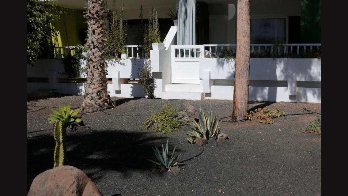 Daruma Apartments Costa Teguise Exterior foto